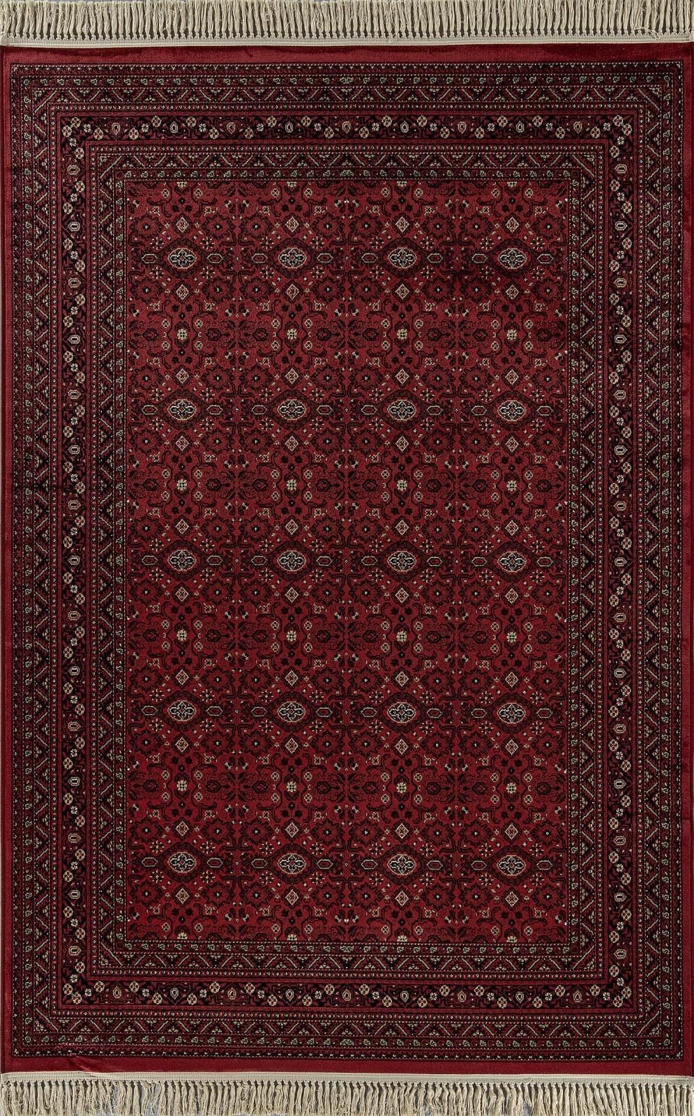 RAGOLLE Beluchi 961557